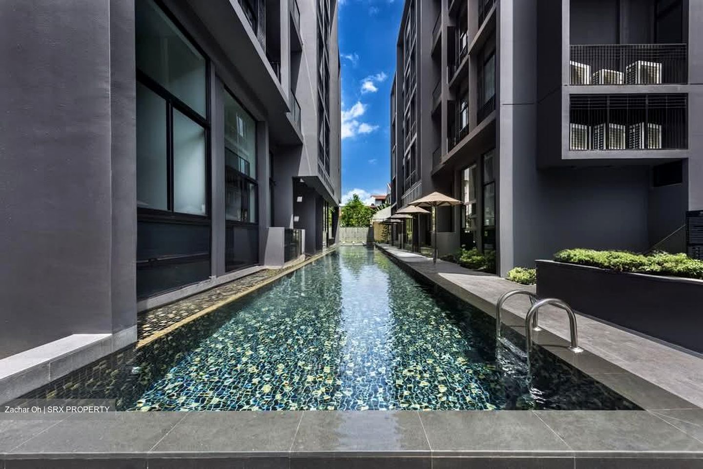 The Asana (D10), Apartment #550984051